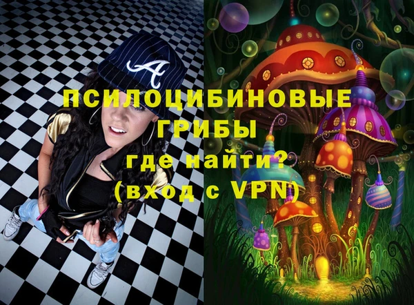 сатива Сосновоборск
