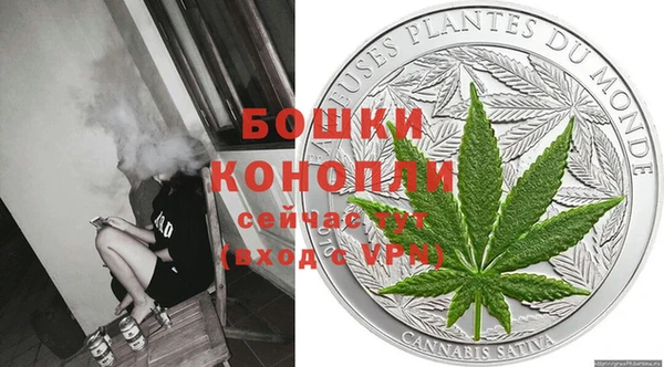 прущий лед Пересвет