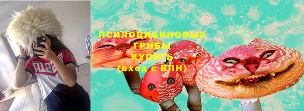 амф Осташков