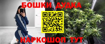 прущие крисы Дубна