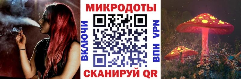 кракен tor  Каменка  Галлюциногенные грибы мицелий  дарнет шоп 