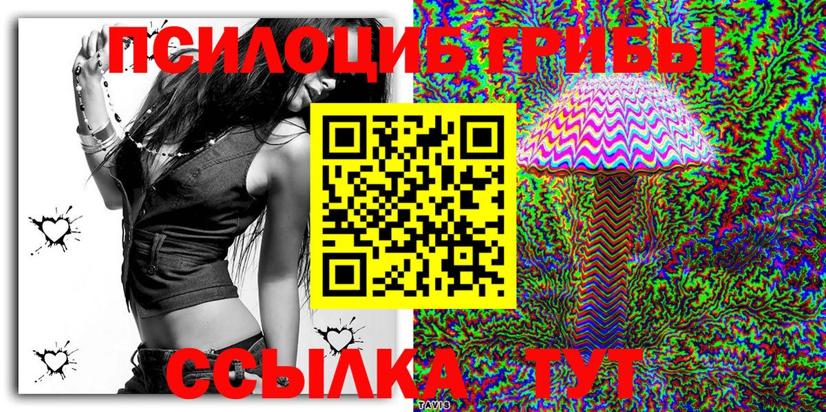 Галлюциногенные грибы GOLDEN TEACHER Каменка