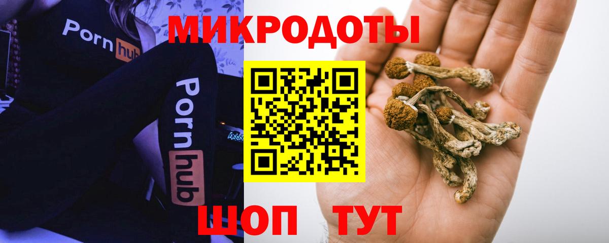 что такое   Каменка  Галлюциногенные грибы Magic Shrooms 